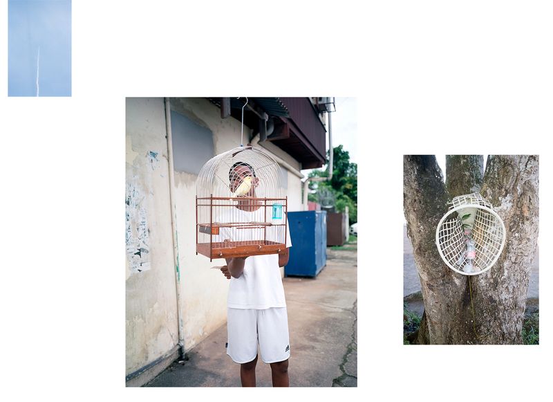 © Ariane Pfannschmidt - Image from the peripheral driftwood photography project