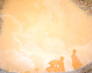 peripheral driftwood