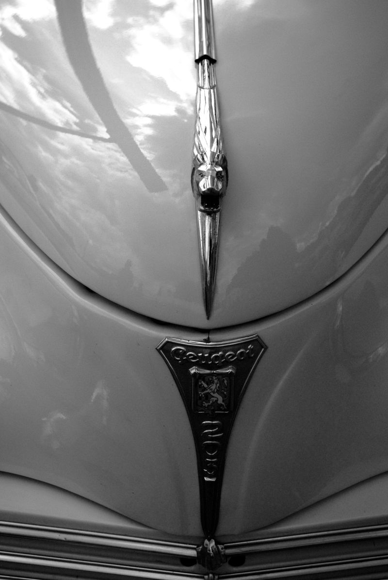 © Abigail Wells-Davies - Image from the Bare Grills photography project