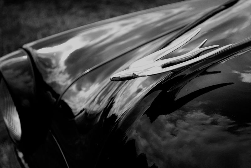 © Abigail Wells-Davies - Image from the Bare Grills photography project