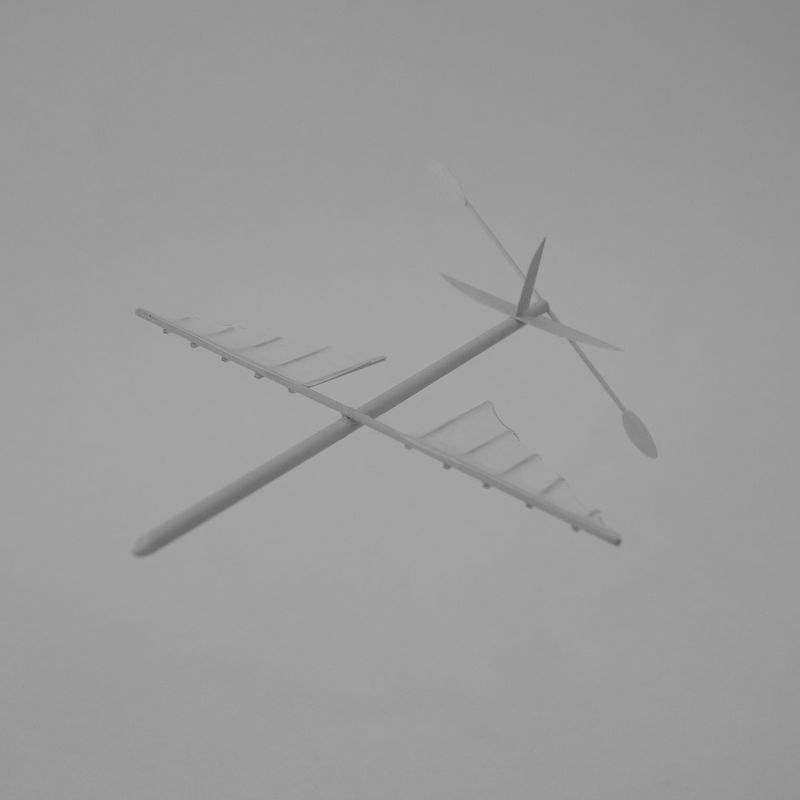© Luigi Cecconi - Pènaud Model - Handmade by the author