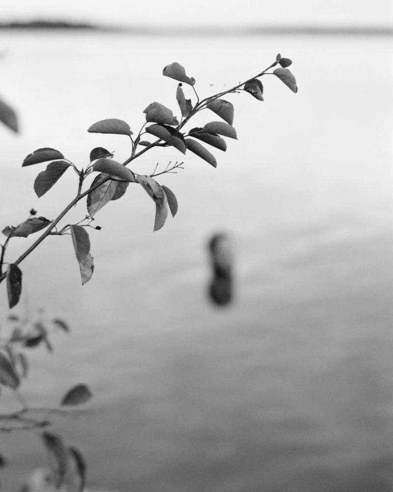 © Daniel Court - Image from the Beyond the Pale photography project