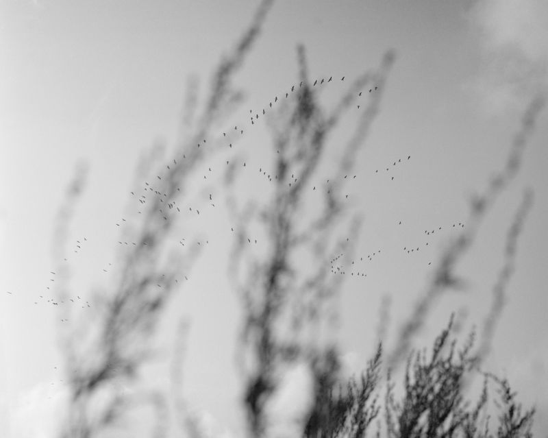 © Daniel Court - Image from the Beyond the Pale photography project
