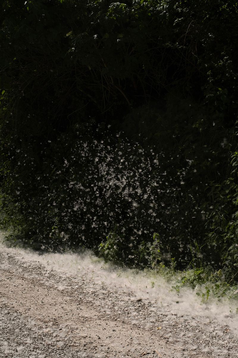 © Chiara Pavolucci - Image from the Threshold photography project