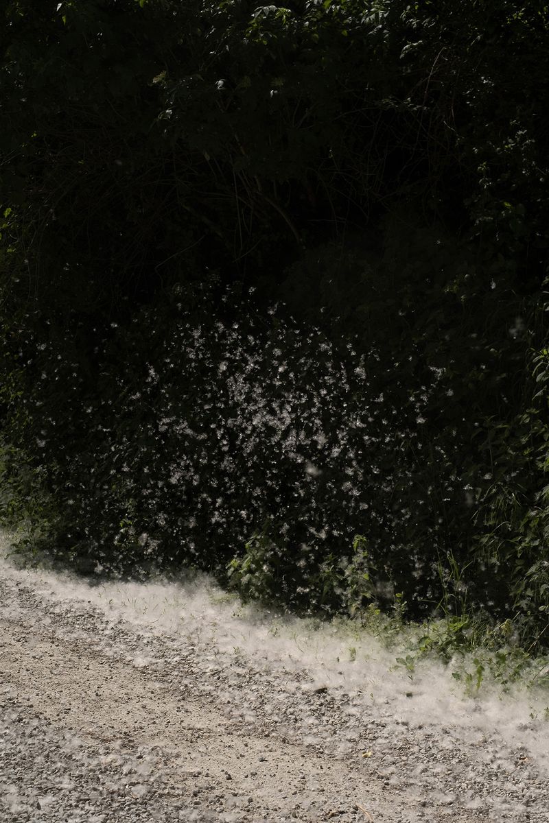 © Chiara Pavolucci - Image from the Threshold photography project