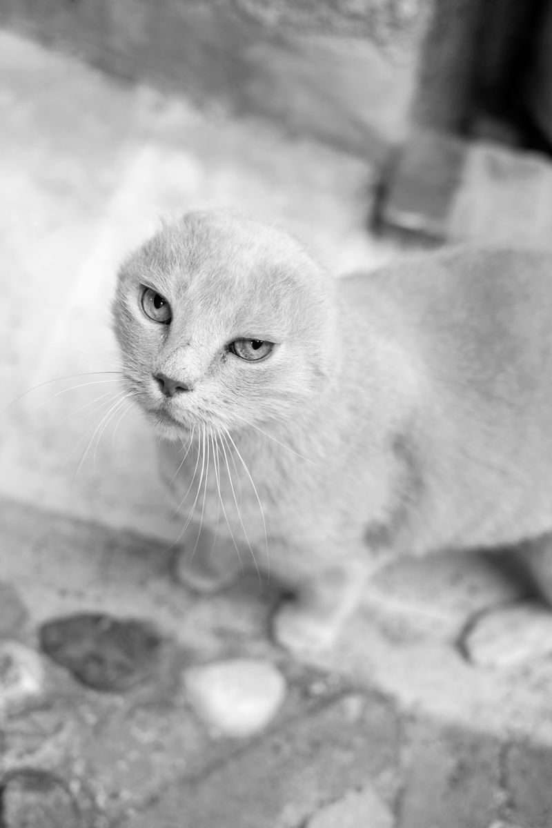 © Chiara Pavolucci - Image from the Threshold photography project