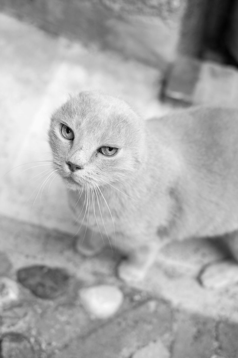 © Chiara Pavolucci - Image from the Threshold photography project