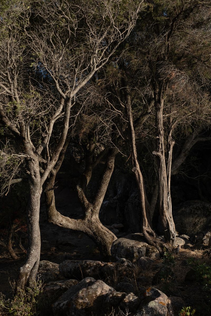 © Chiara Pavolucci - Image from the Threshold photography project