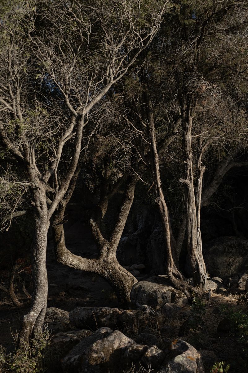 © Chiara Pavolucci - Image from the Threshold photography project