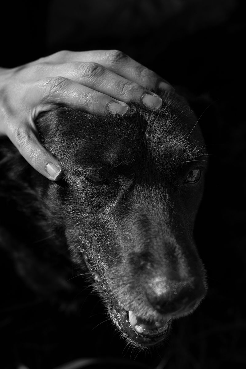 © Chiara Pavolucci - Image from the Threshold photography project