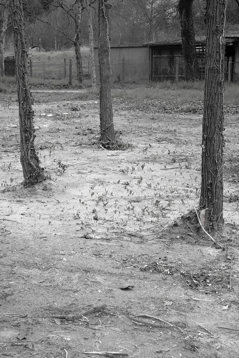 © Chiara Pavolucci - Image from the Threshold photography project