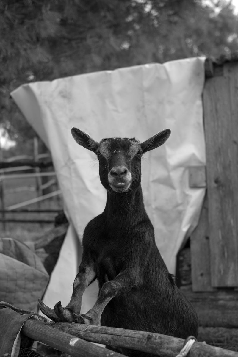 © Chiara Pavolucci - Image from the Threshold photography project