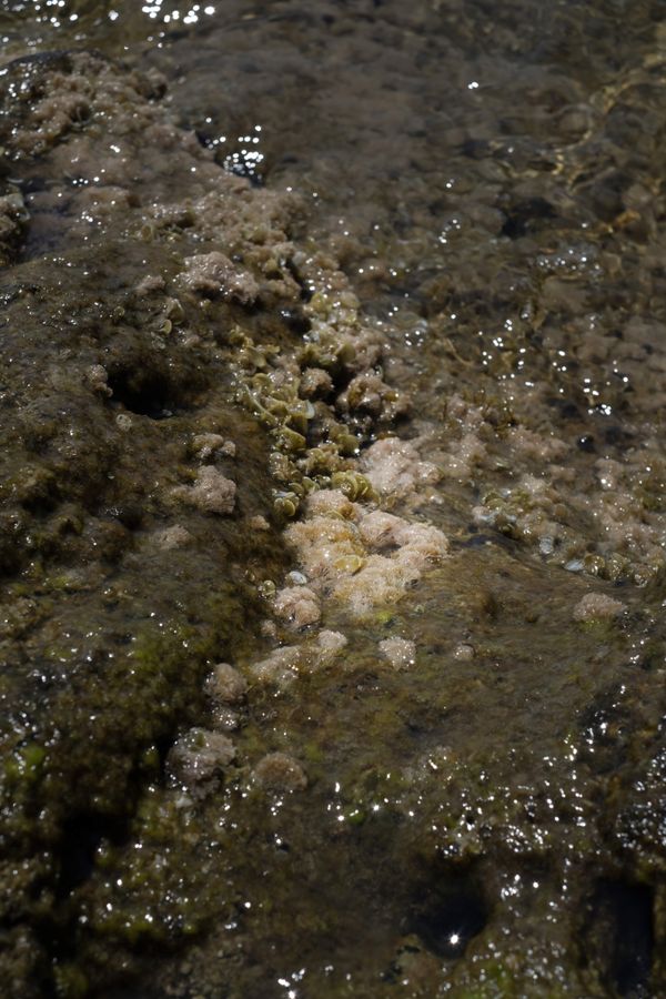 © Chiara Pavolucci - Image from the Threshold photography project