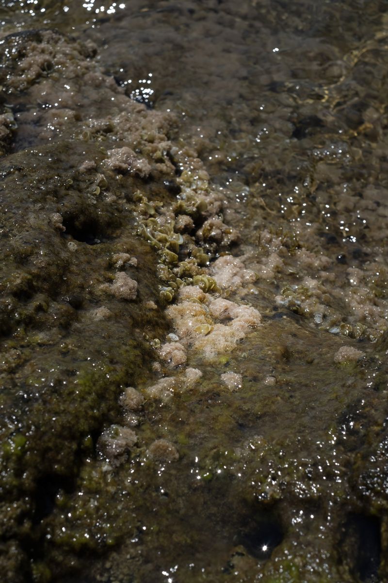 © Chiara Pavolucci - Image from the Threshold photography project