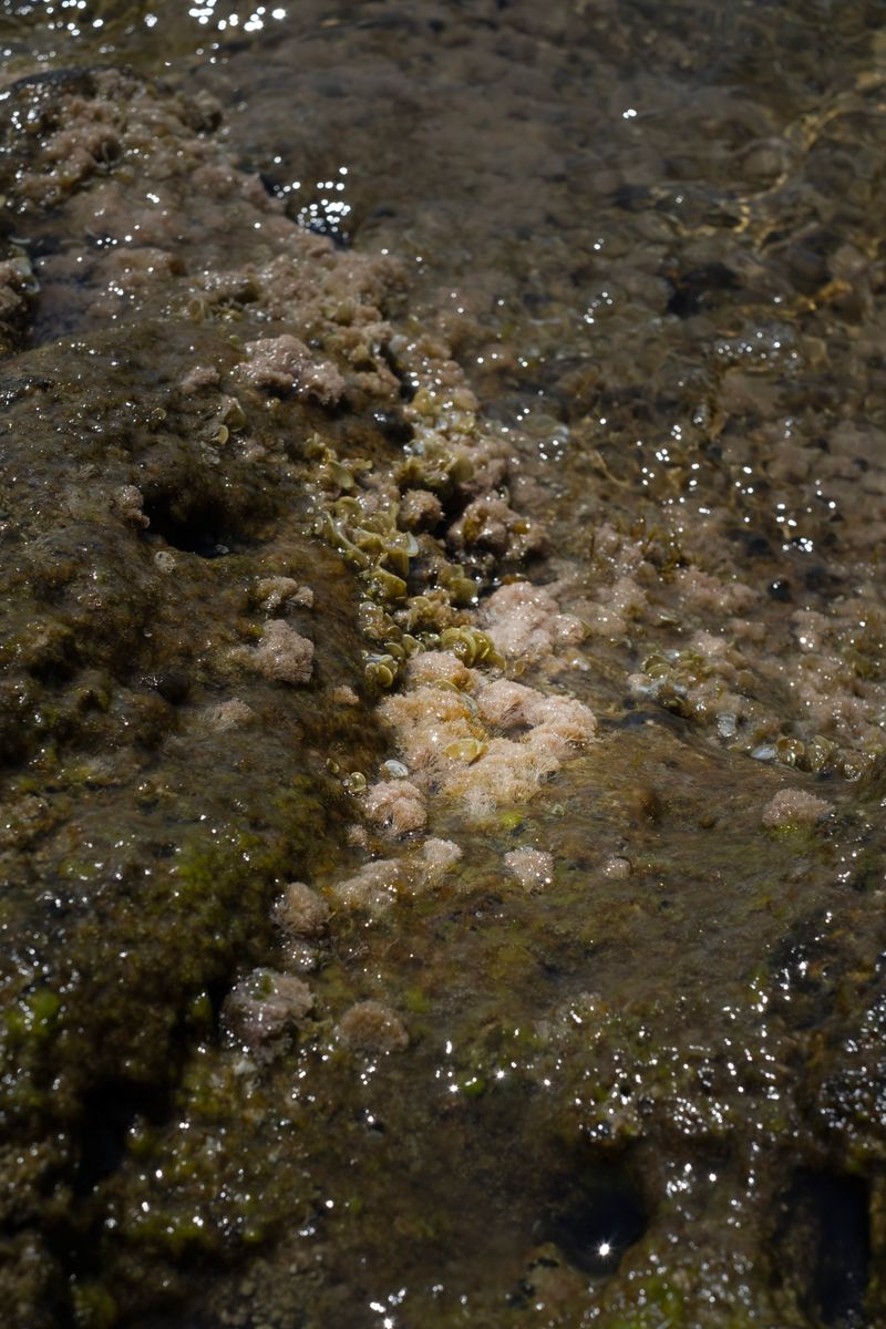 © Chiara Pavolucci - Image from the Threshold photography project