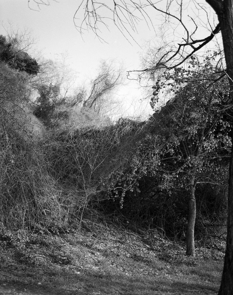 © Chiara Pavolucci - Image from the E' un varco photography project