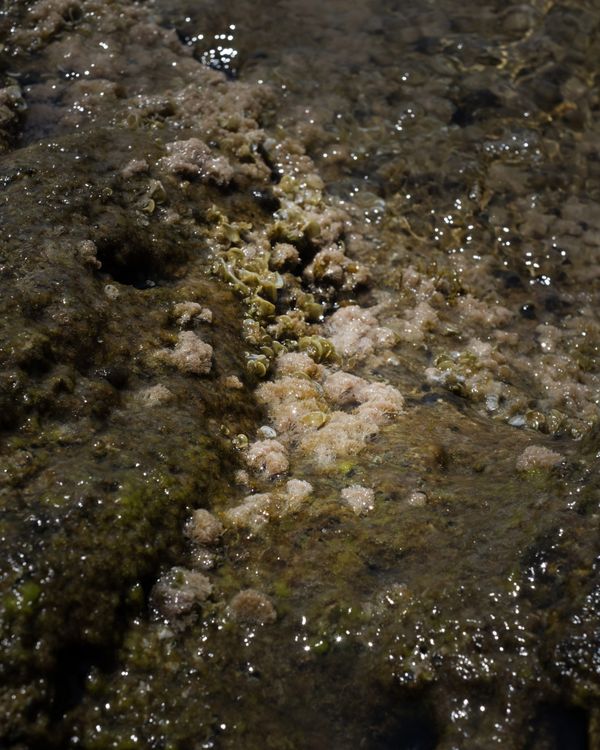 © Chiara Pavolucci - Image from the E' un varco photography project