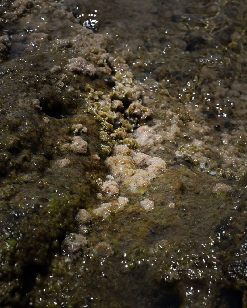 © Chiara Pavolucci - Image from the E' un varco photography project