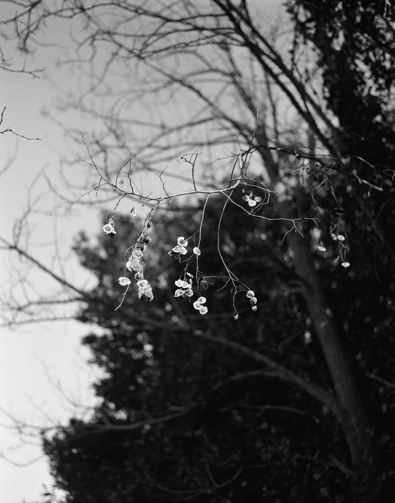 © Chiara Pavolucci - Image from the E' un varco photography project