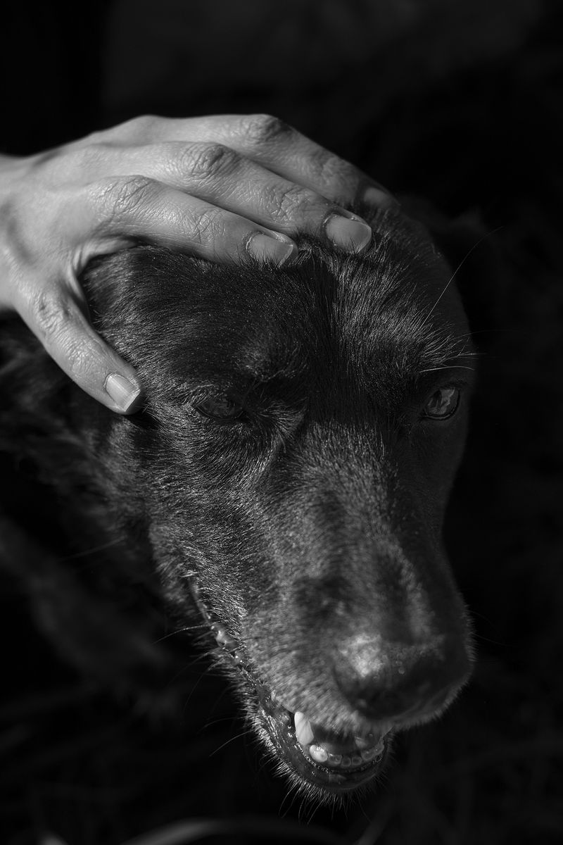 © Chiara Pavolucci - Image from the E' un varco photography project