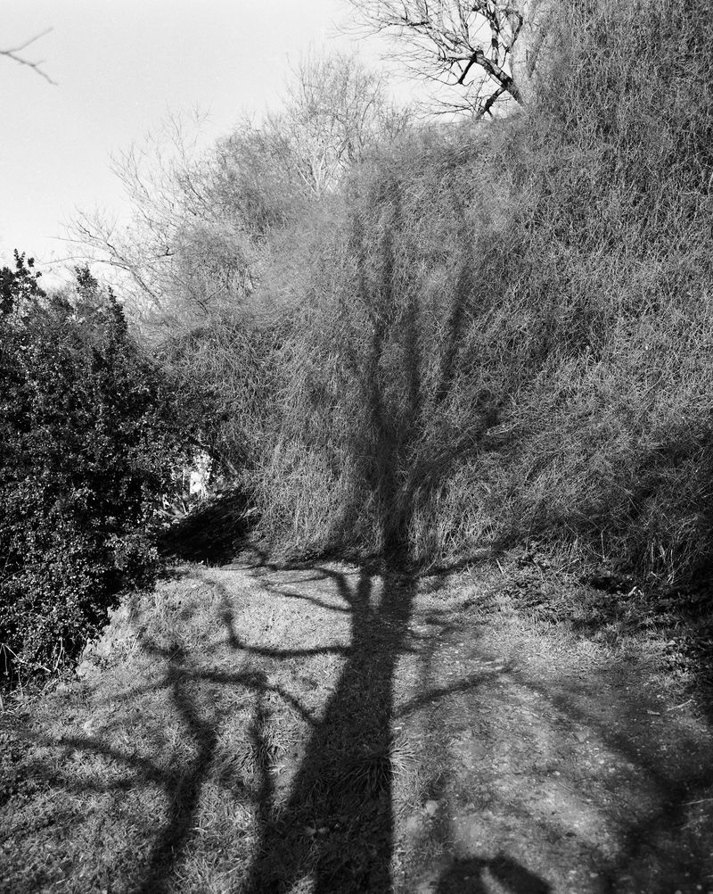 © Chiara Pavolucci - Image from the E' un varco photography project