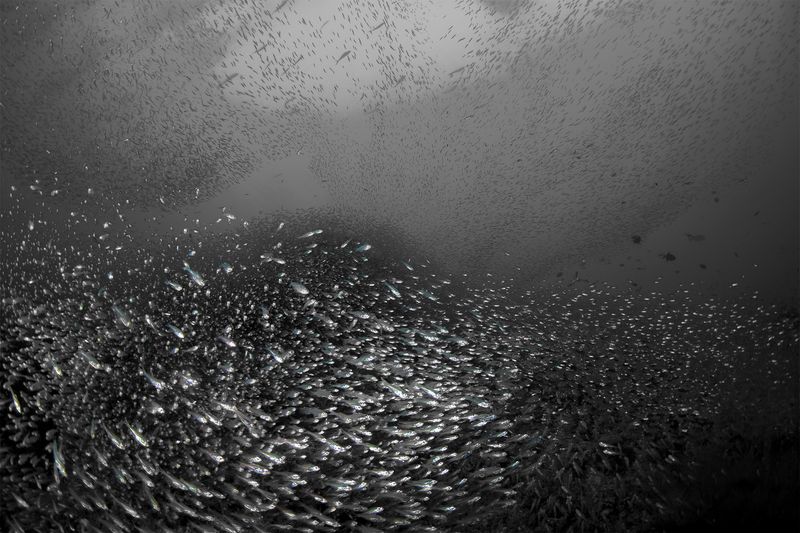 ©Jann Rosen-Queralt