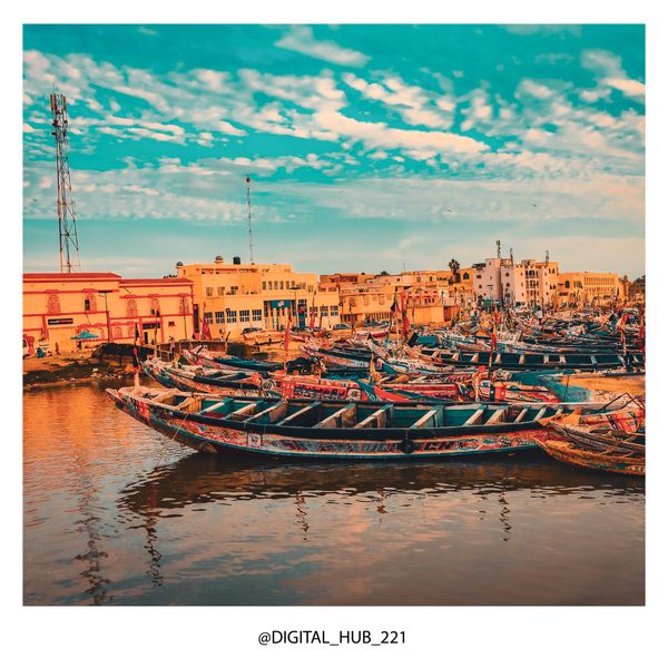 © Amadou Gaye - Image from the NATURE SAINT-LOUISIENNE photography project