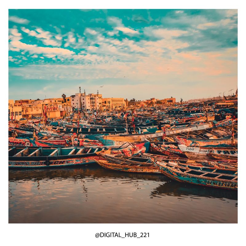 © Amadou Gaye - Image from the NATURE SAINT-LOUISIENNE photography project