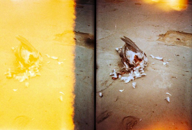 © Freisy González Portales - Image from the Where you are no longer anything (Donde ya no eres nada) photography project