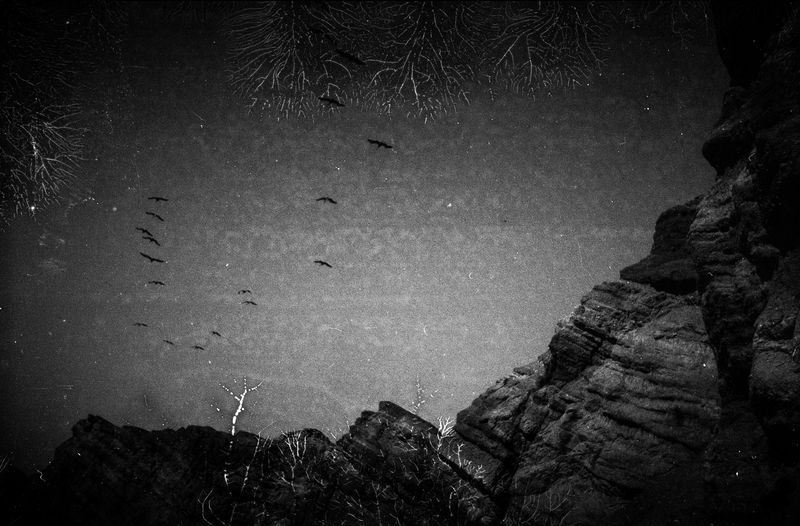 © Freisy González Portales - Image from the The sea of ​​oblivion - El mar del olvido photography project