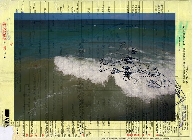 © Freisy González Portales - Image from the Una estrella en una ola de mar (A star in a sea wave) photography project