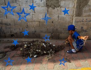 Una estrella en una ola de mar (A star in a sea wave)