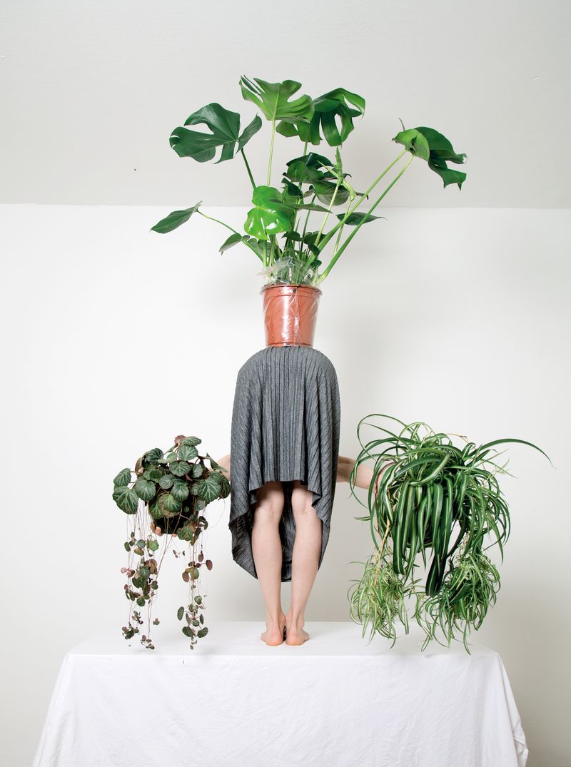 © Csilla Klenyanszki - Csilla Klenyanszki, Pillars of home, Nr. 76