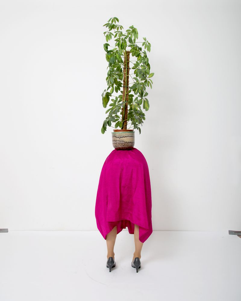 © Csilla Klenyanszki - Plant, 2017, Photograph