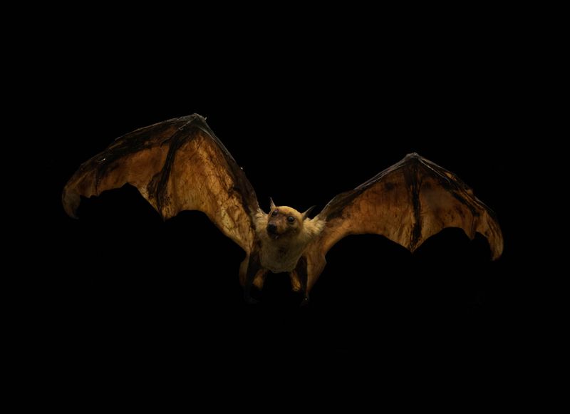 © Federica Leone - Image from the Memento Mori photography project