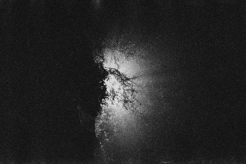 © Federica Leone - Image from the Memento Mori photography project