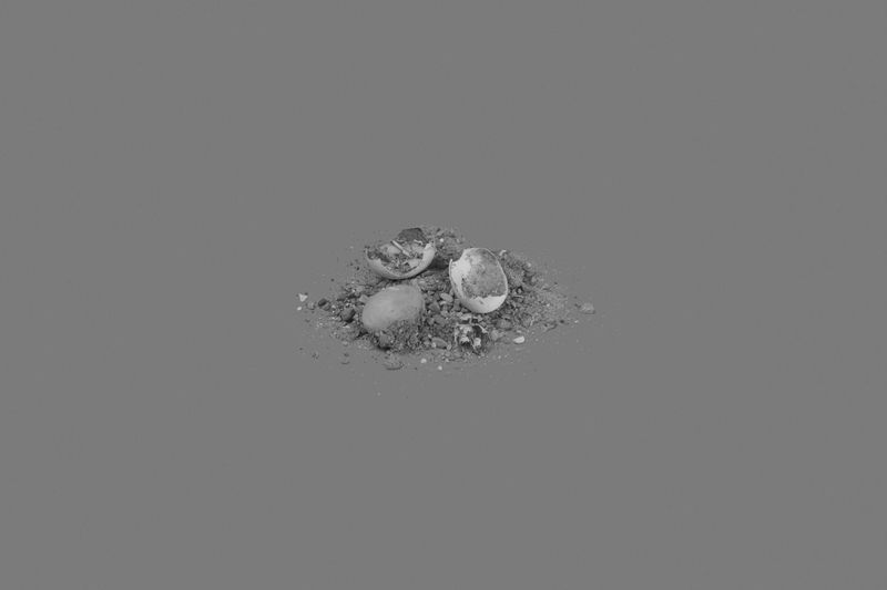 © Federica Leone - Image from the Memento Mori photography project