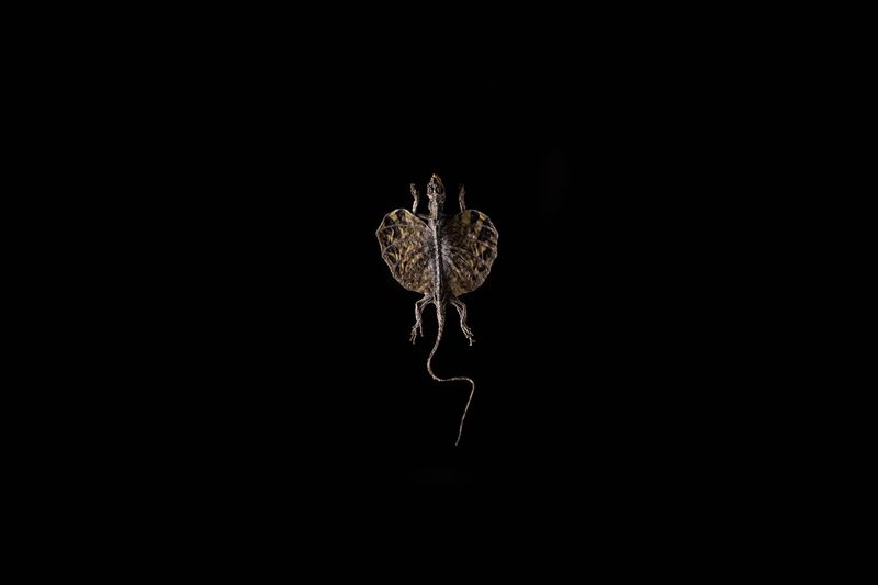 © Federica Leone - Image from the Memento Mori photography project