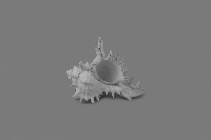 © Federica Leone - Image from the Memento Mori photography project