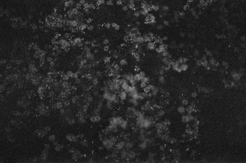 © Federica Leone - Image from the Memento Mori photography project