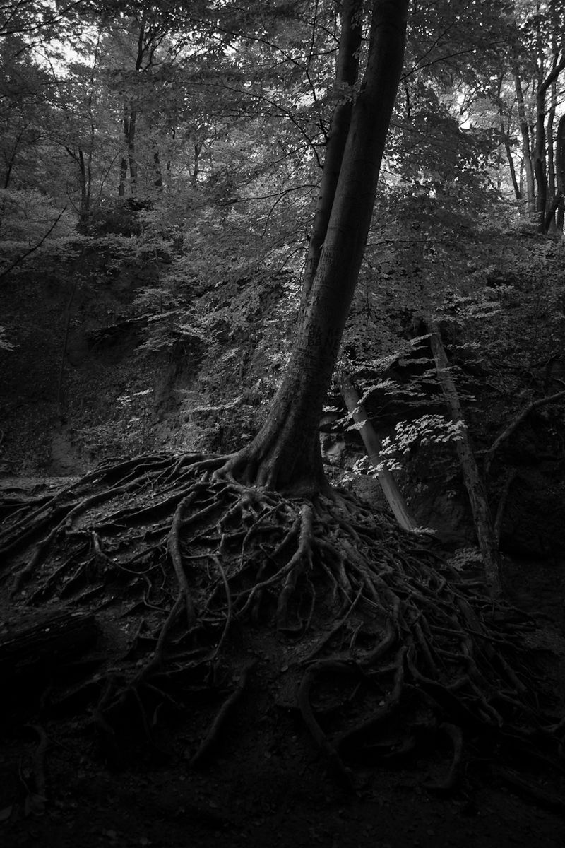 © Enikő Hodosy - Image from the Invisible-you photography project