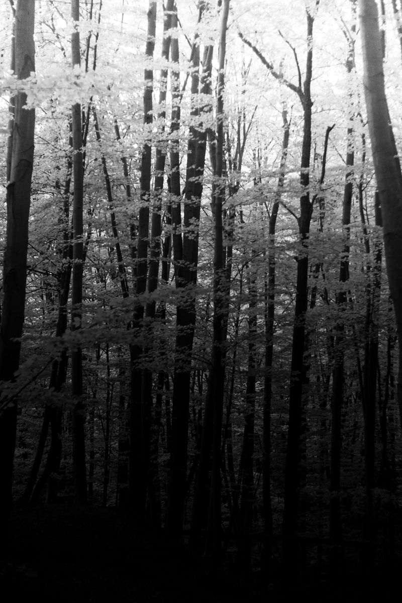 © Enikő Hodosy - Image from the Invisible-you photography project