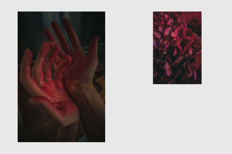 © Enikő Hodosy - Magenta hands and peony petals