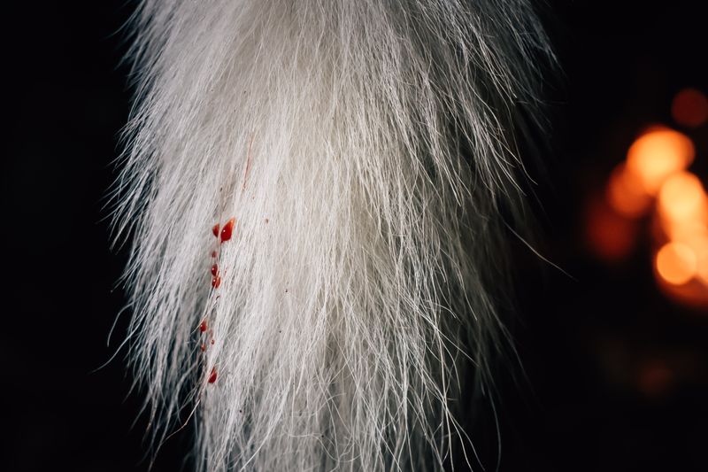 © Huang Chih - Image from the Don't speak to the mountain photography project