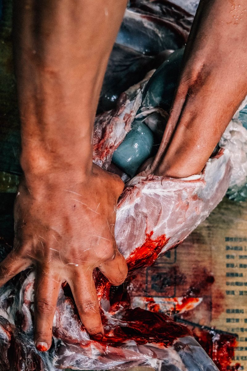© Huang Chih - Image from the Don't speak to the mountain photography project