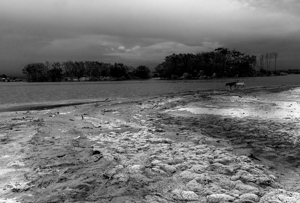 © Maria Cristina Magalhães - Image from the The Fury  of Nature photography project