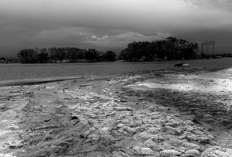 © Maria Cristina Magalhães - Image from the The Fury  of Nature photography project