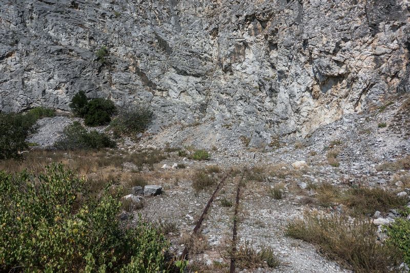 © Irina Vosgerau - Image from the NANUU, the Call of the Gioni photography project