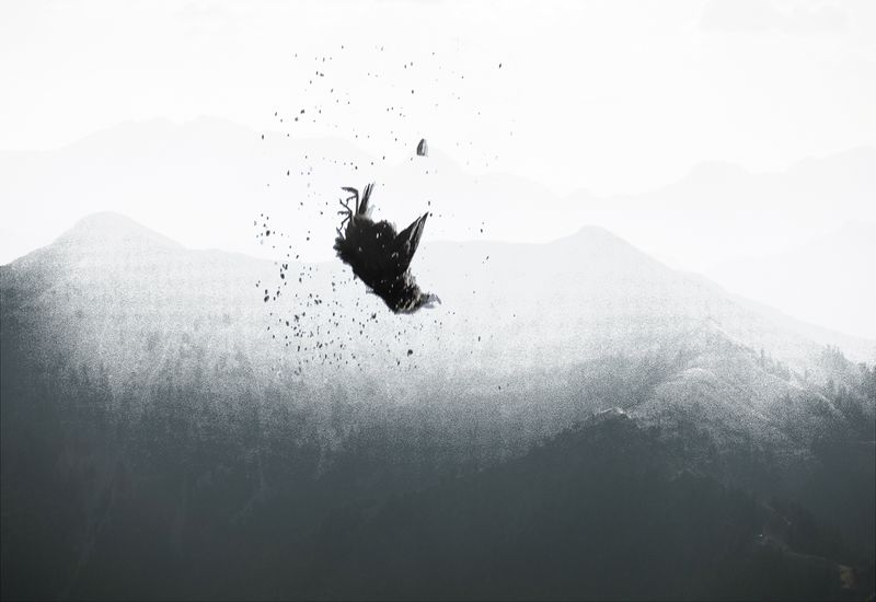 © Irina Vosgerau - Image from the NANUU, the Call of the Gioni photography project