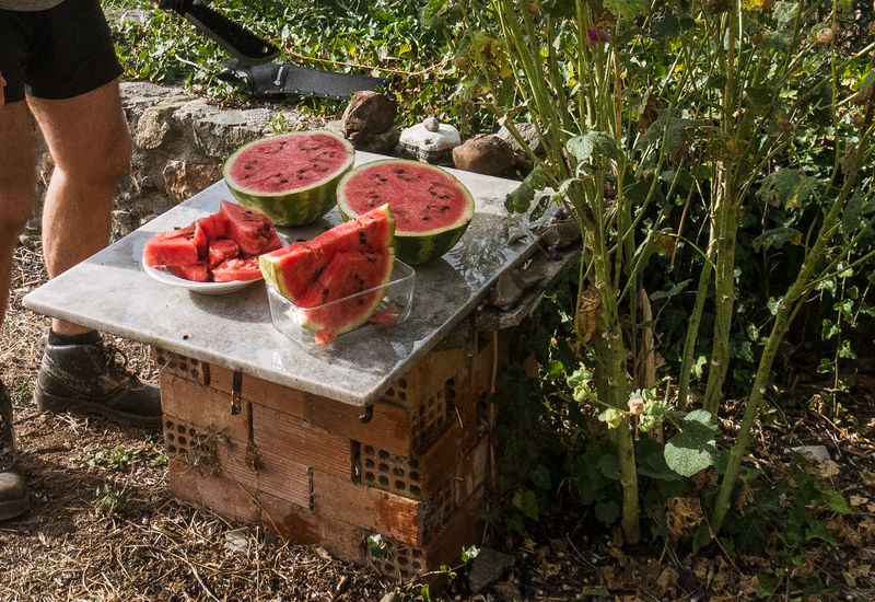 © Irina Vosgerau - Image from the CRITICAL LANDSCAPES//:FEAR//:LOVE photography project